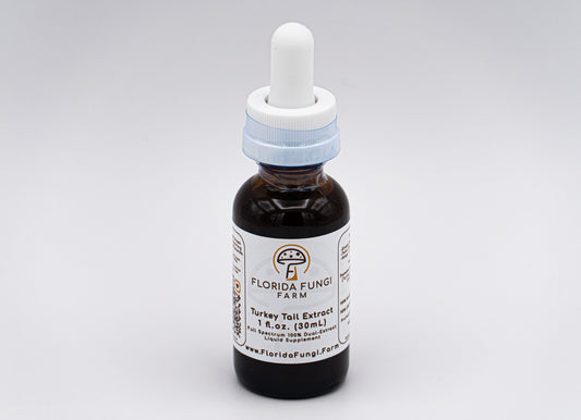 Turkey Tail Extract